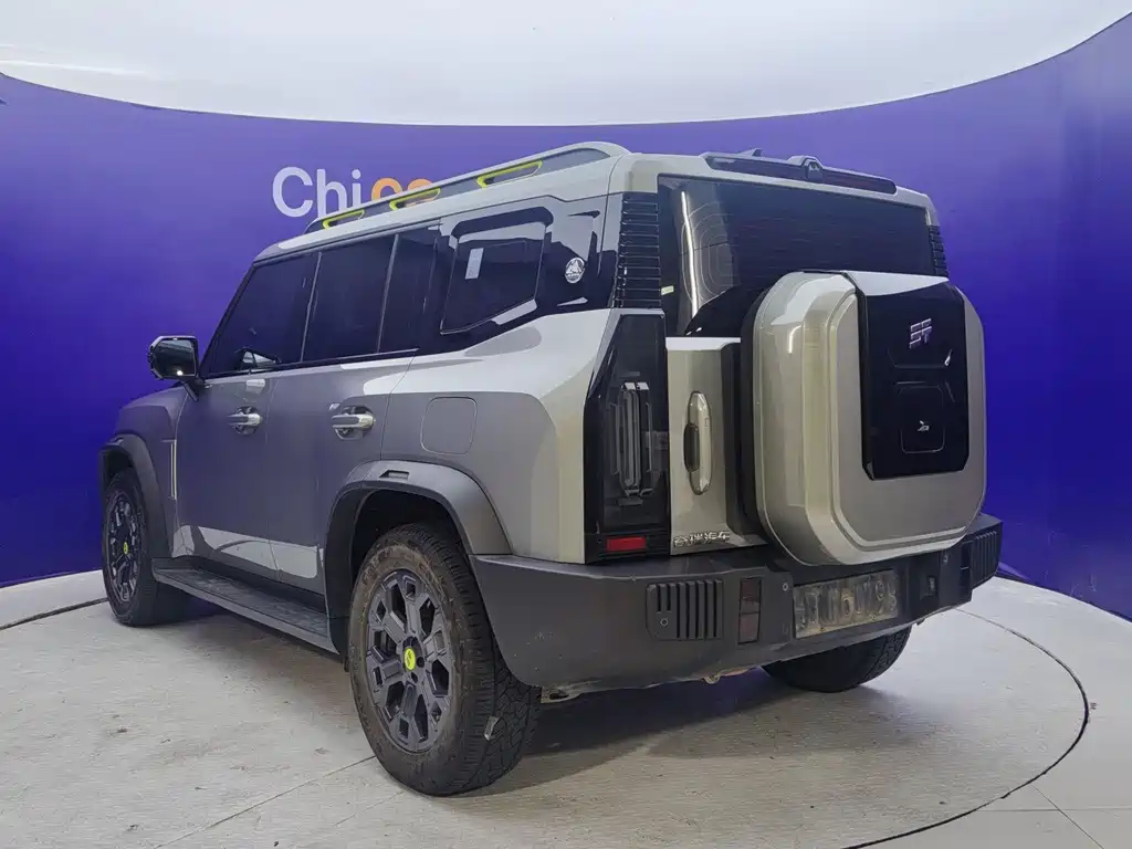 Shanhai Traveller C-DM — миниатюра 6