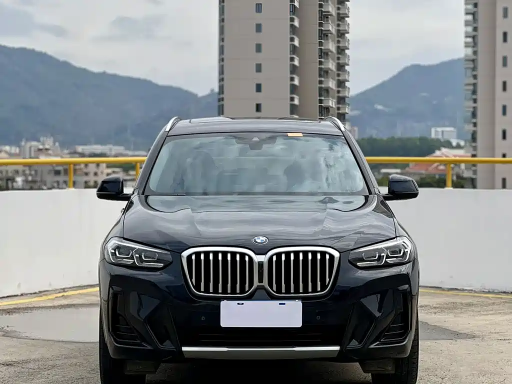 BMW X3 — миниатюра 2