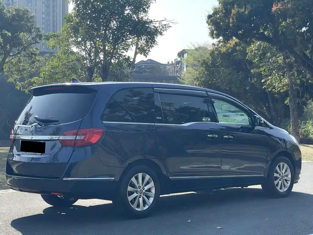 Buick GL8 — миниатюра 10