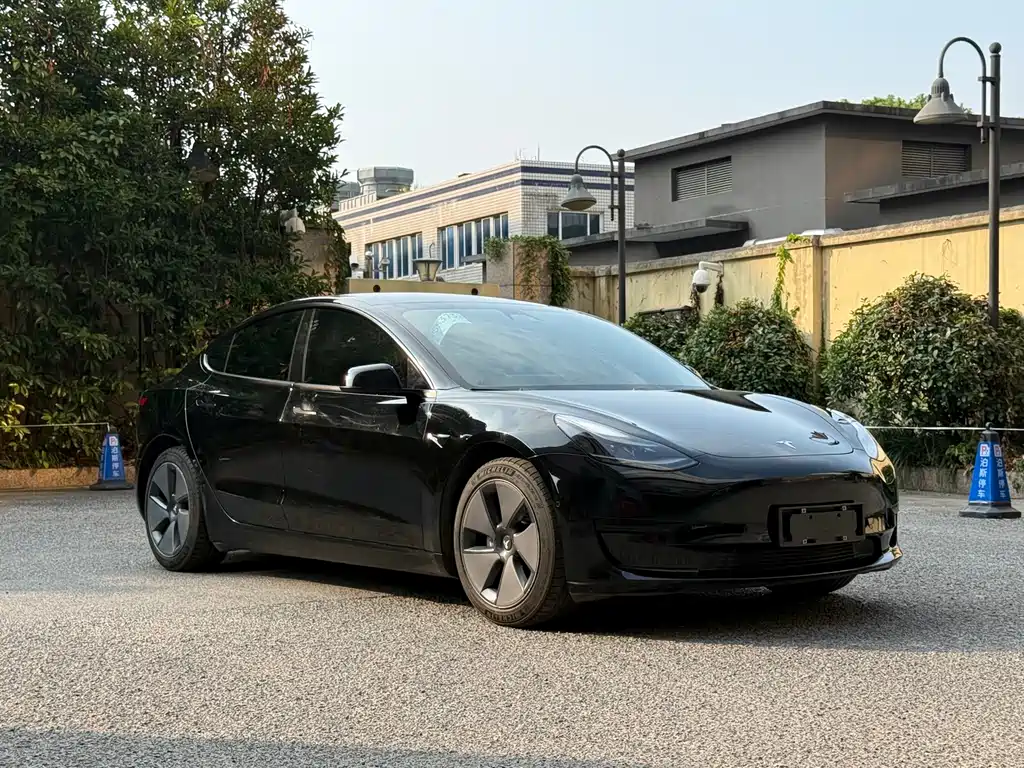 Tesla Model 3 — миниатюра 3