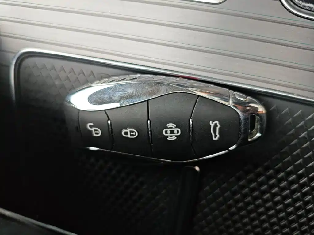 Hongqi Hongqi HS7 PHEV — миниатюра 9