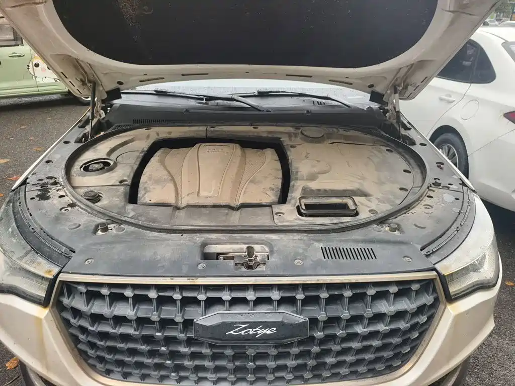 Zotye Zotye T700 — миниатюра 11
