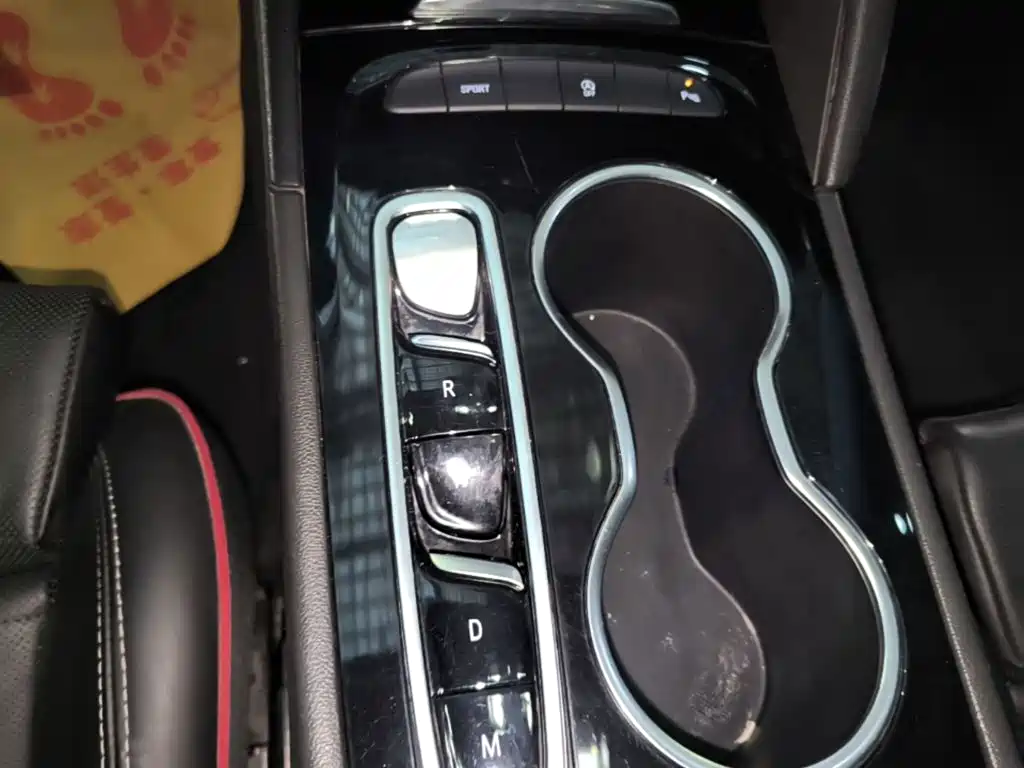 Buick Regal — миниатюра 14