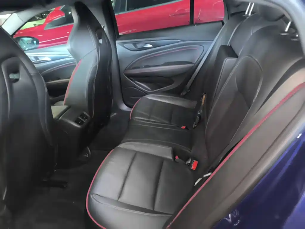Buick Regal — миниатюра 17