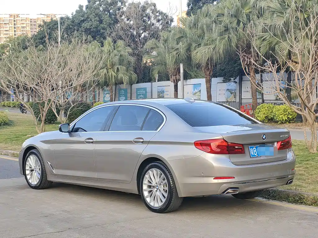 BMW 5 Series 5 2019 530Li Lead Luxury