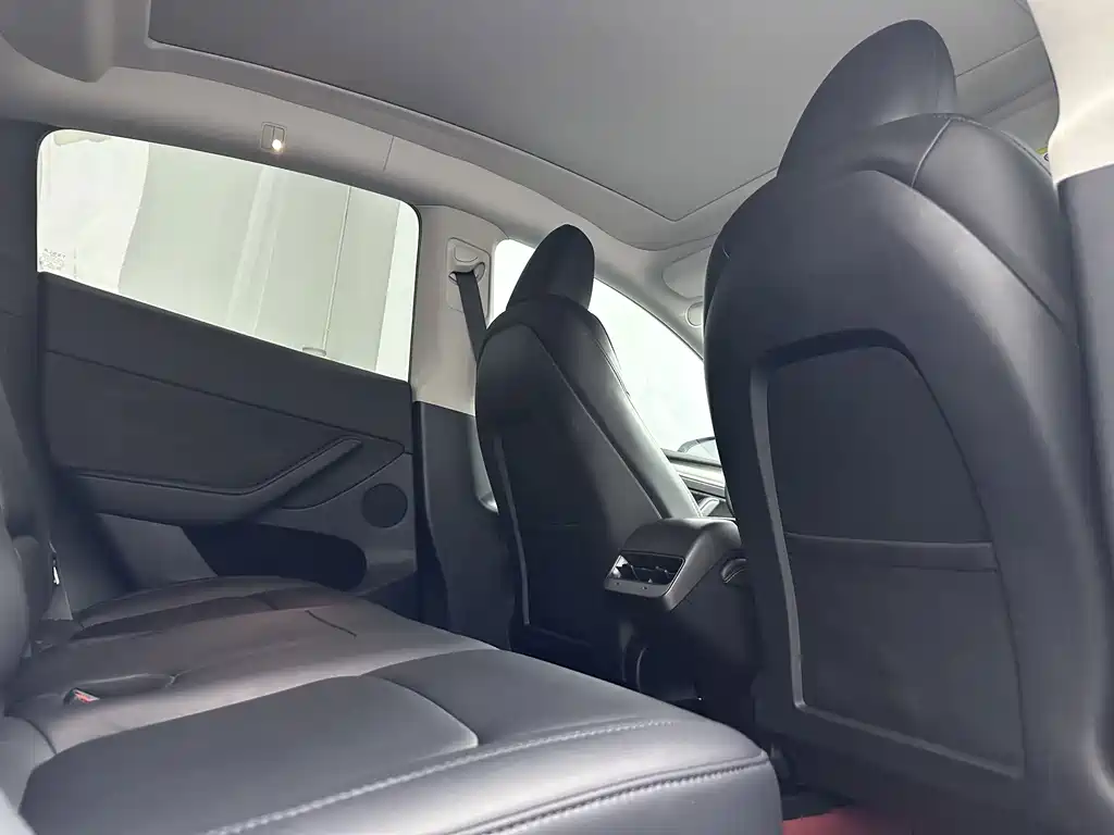 Tesla Model Y — миниатюра 13