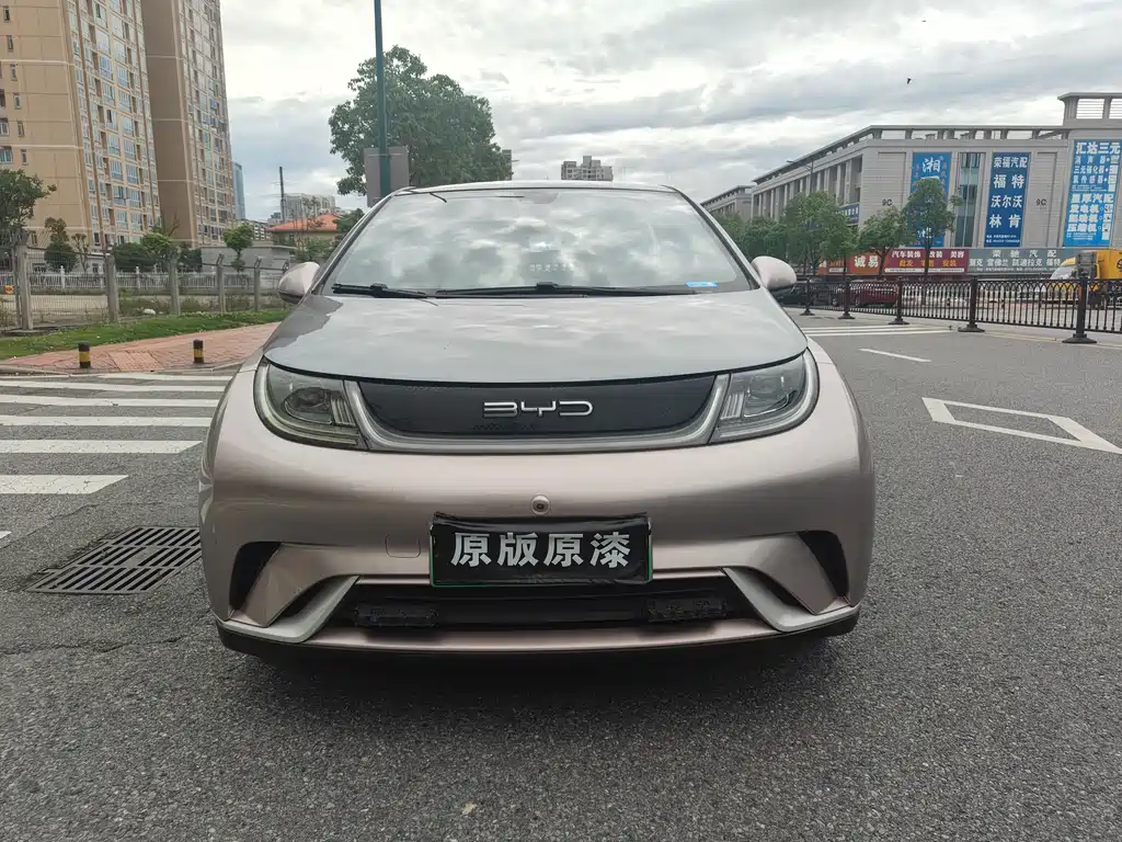 Byd Dolphin 2022