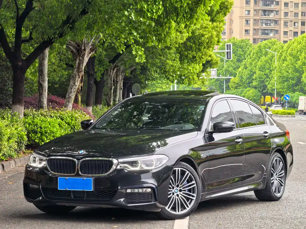 BMW 5 Series (Import) 2018