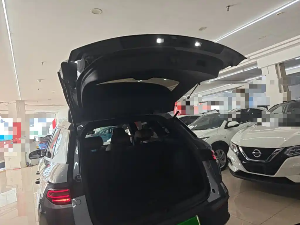 BYD Pro New Energy — миниатюра 19