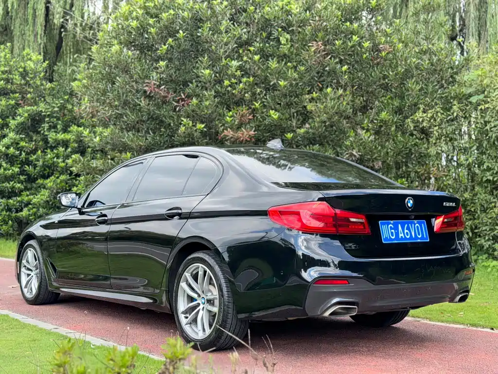 BMW 5 Series — миниатюра 4