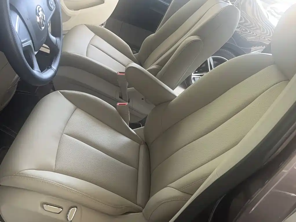 Buick GL8 — миниатюра 11