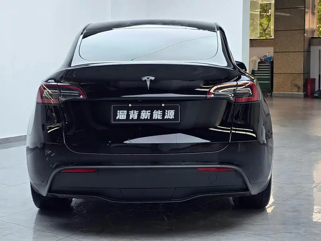 Tesla Model Y — миниатюра 15