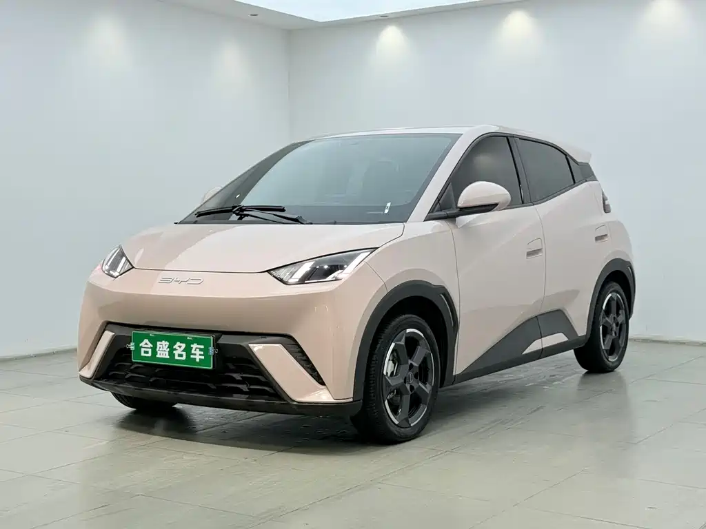 Byd Seagull 2024