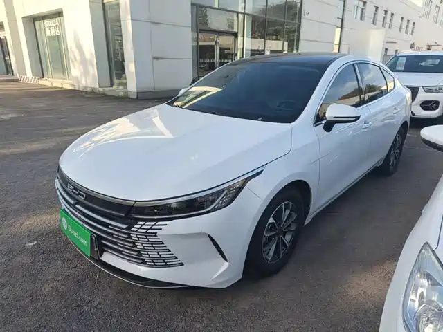 2024 BYD Destroyer