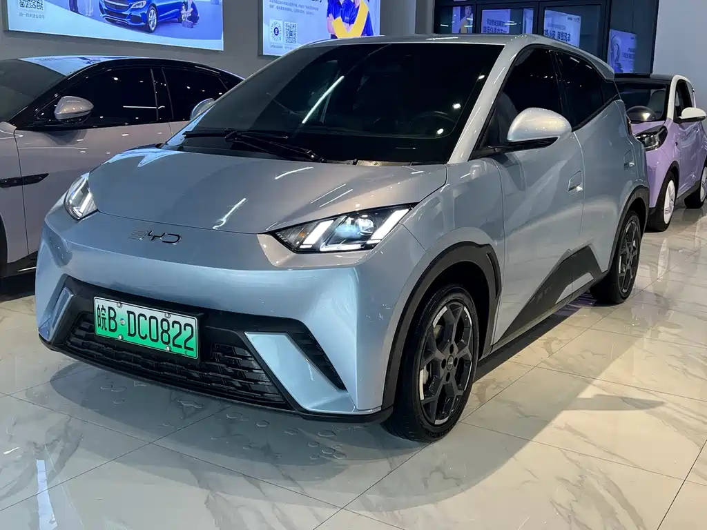 Byd Seagull 2024