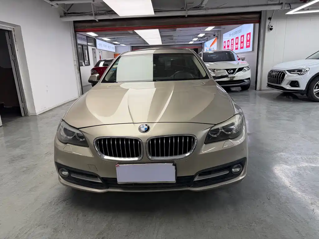 BMW 5 Series 5 2013 530Li Lead