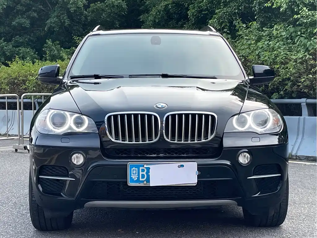 BMW X5 (Import) — миниатюра 2