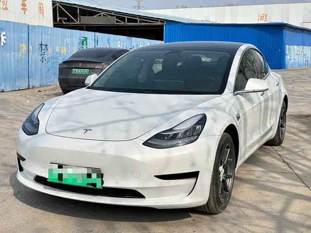 TESLA MODEL 3 2020