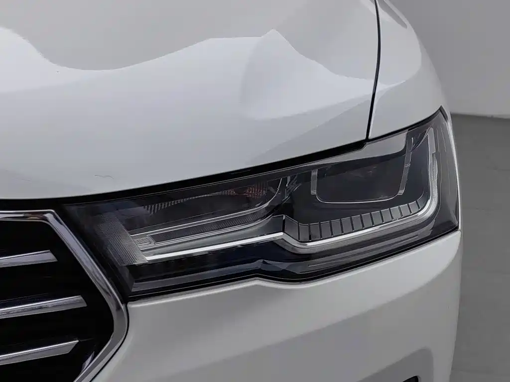 Haval H4 — миниатюра 7