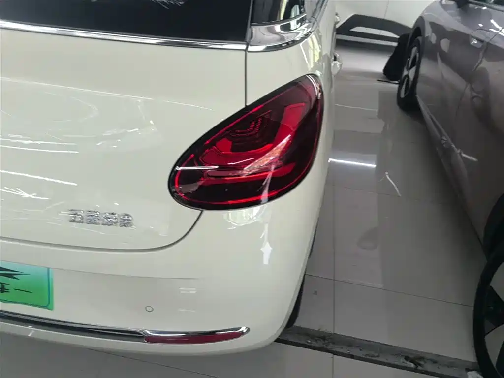 Wuling Binguo 2025 333km Enjoy