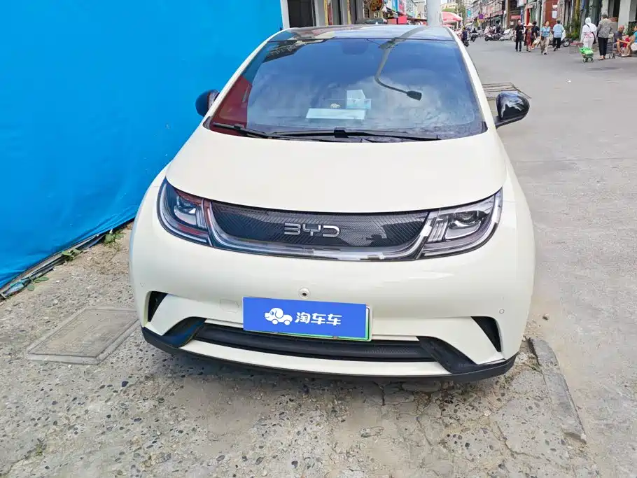 BYD Dolphin — миниатюра 2