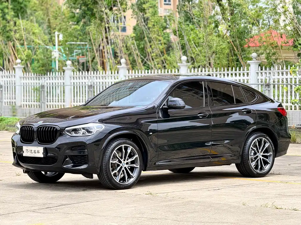 BMW X4 — миниатюра 2