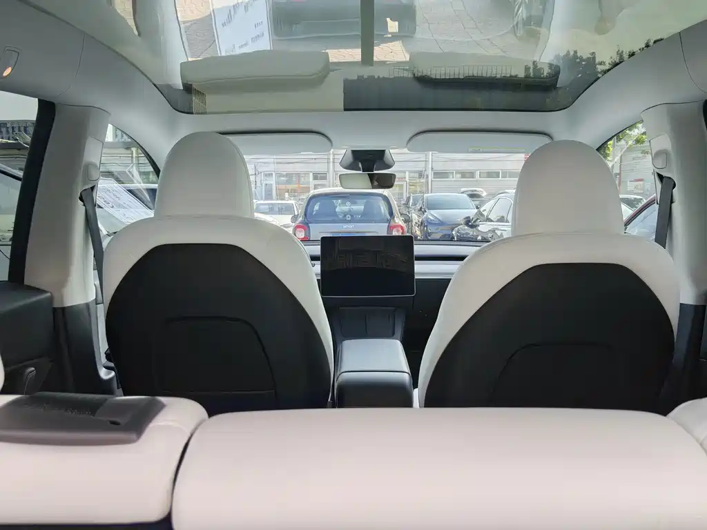 Tesla Model Y — миниатюра 10