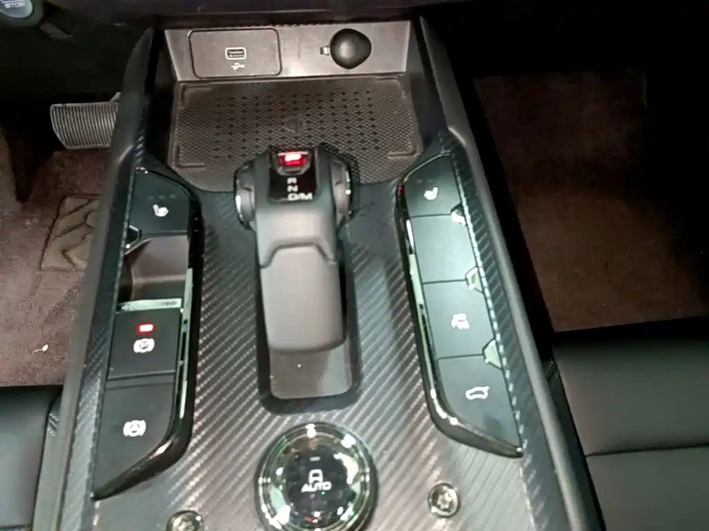 Haval Big Dog PLUS — миниатюра 14