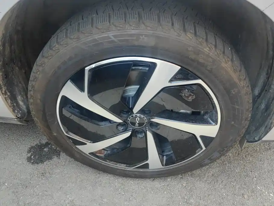 BYD Sealion 06 — миниатюра 6