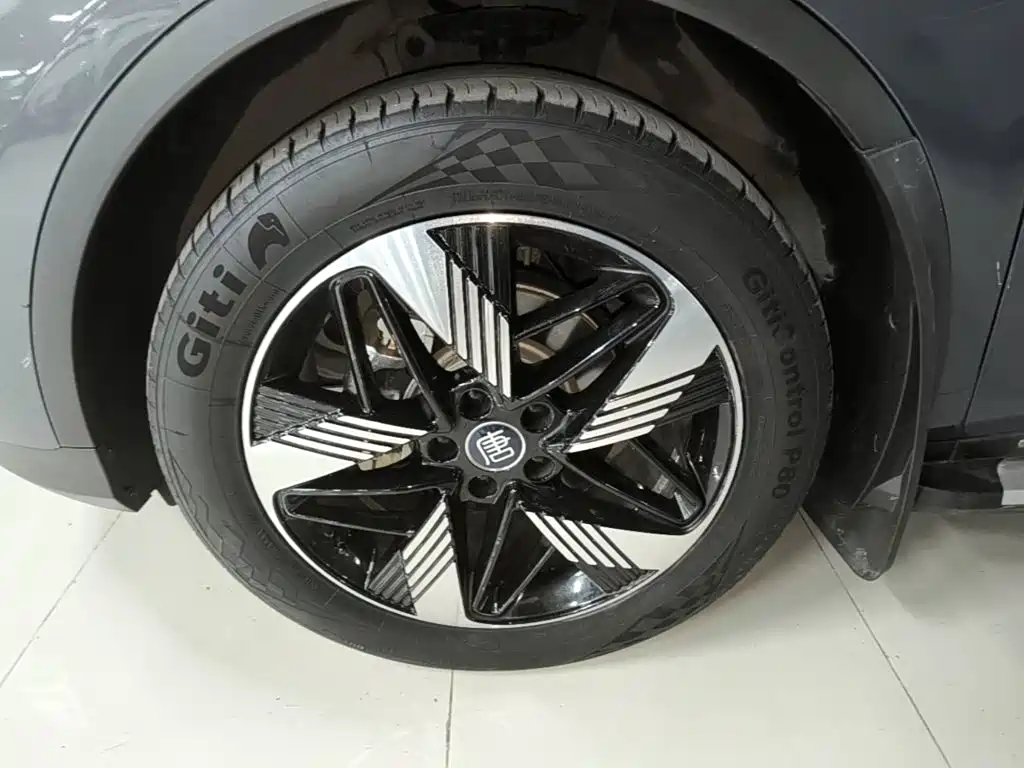 BYD Tang New Energy — миниатюра 23
