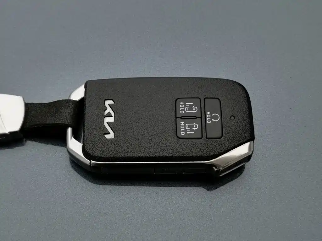 Kia Carnival — миниатюра 19
