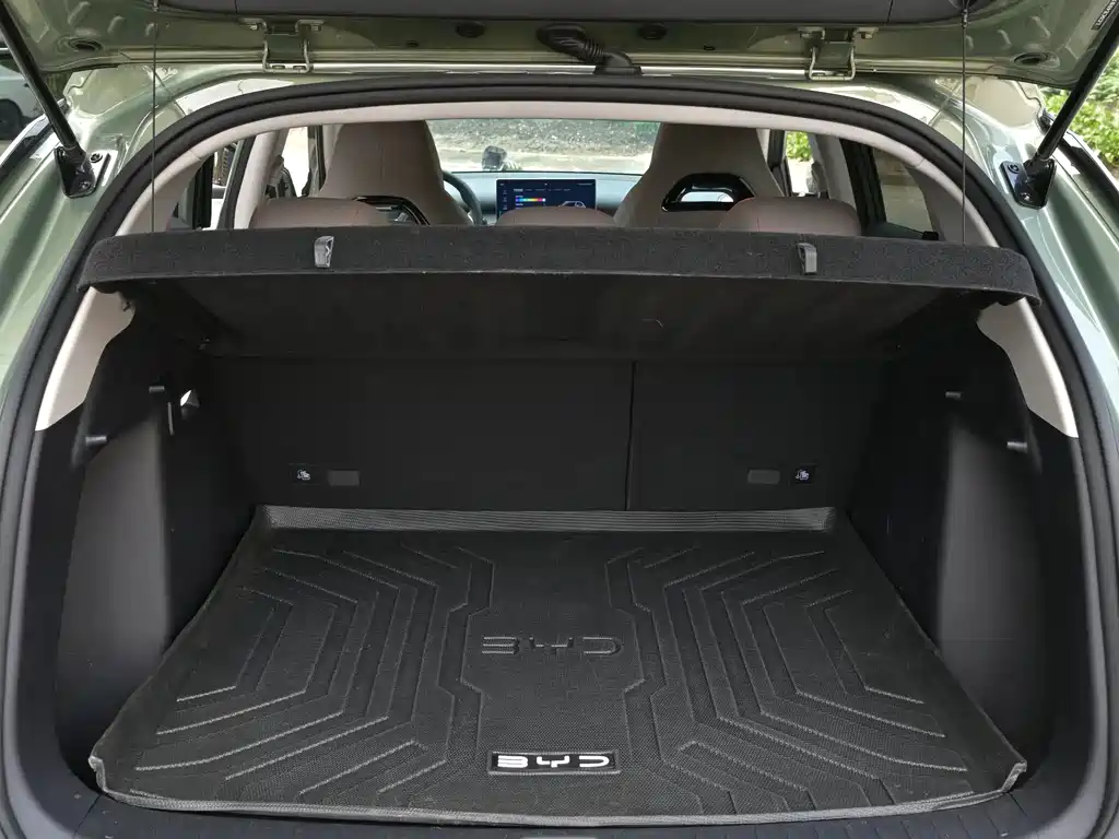 BYD Yuan Plus — миниатюра 21