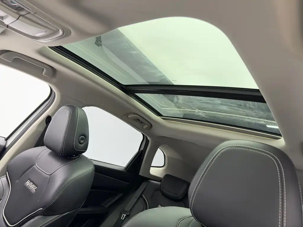 Haval Chulian — миниатюра 12