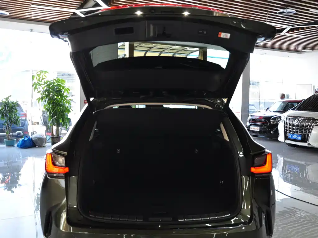 Lexus NX — миниатюра 11