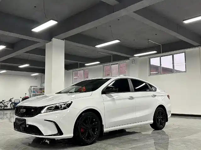 2021 Geely Binrui