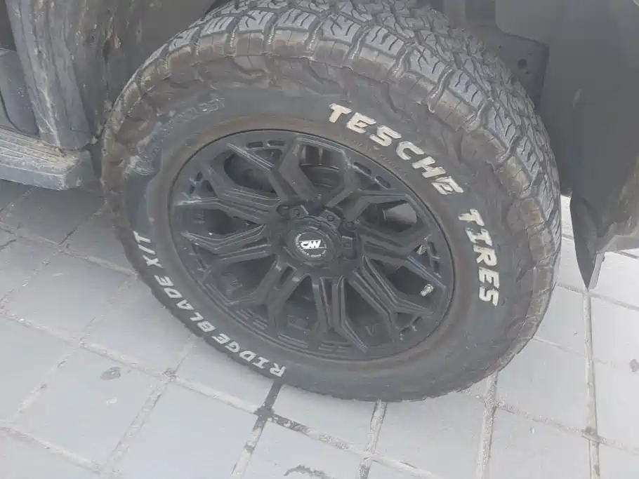Fang Cheng Bao Leopard 5 — миниатюра 6
