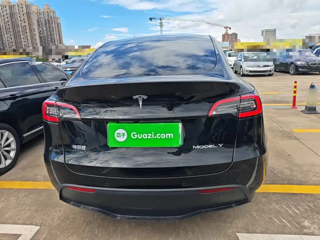 Tesla Model Y — миниатюра 6