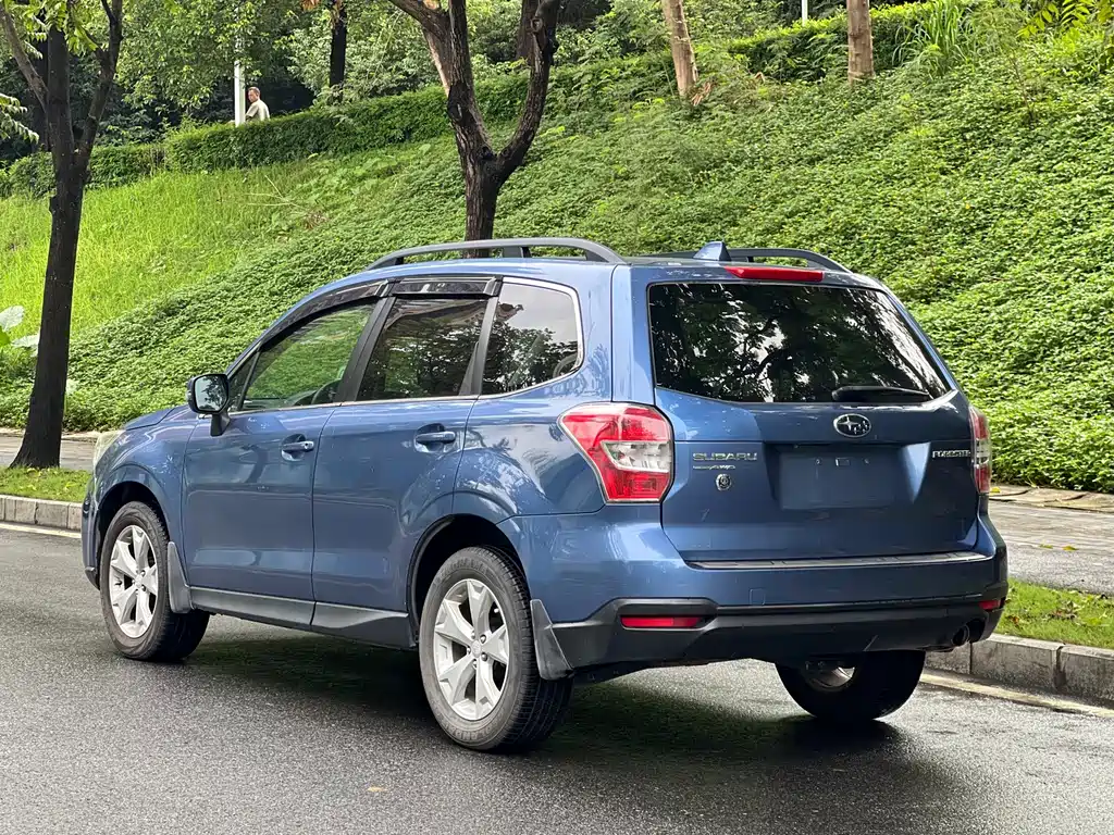 Subaru Forester — миниатюра 13