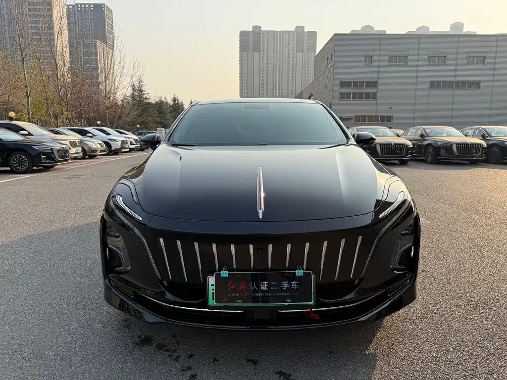 Hongqi HONGQI E QM5