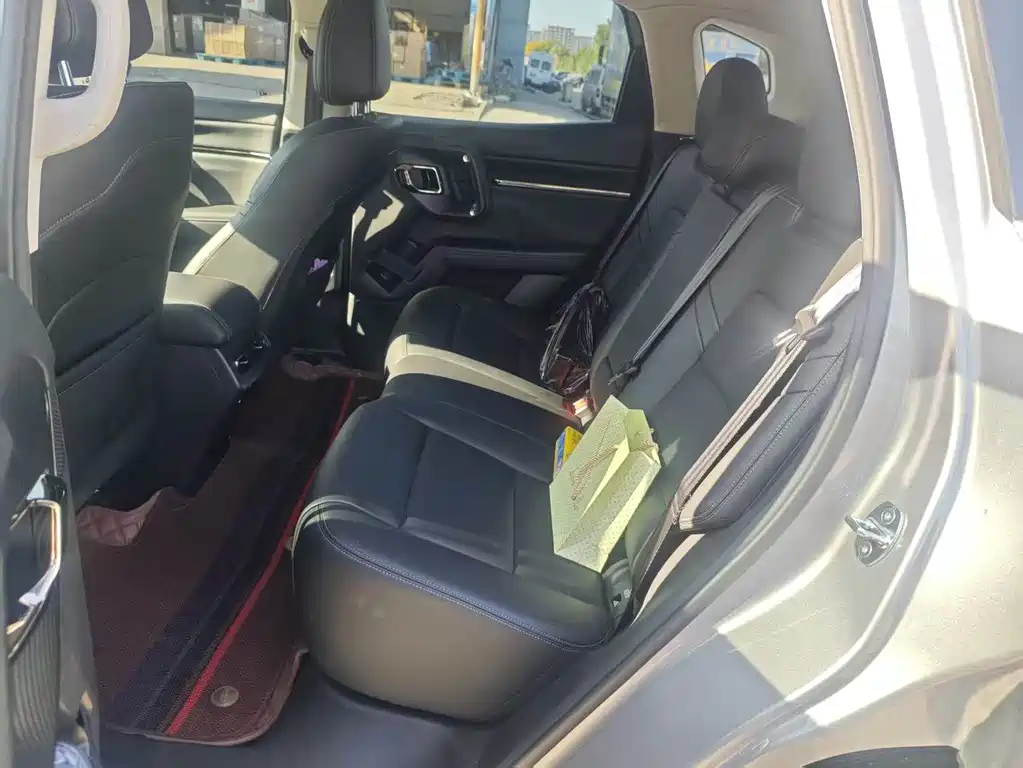 Haval Big Dog PLUS — миниатюра 7