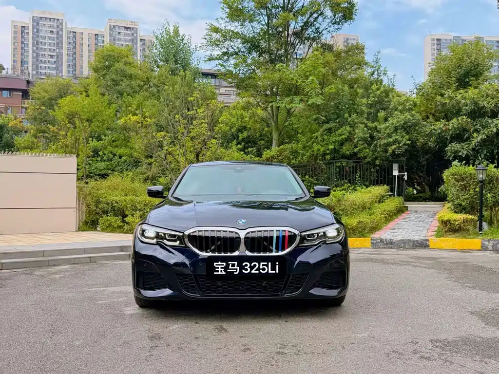 BMW 3 Series — миниатюра 2