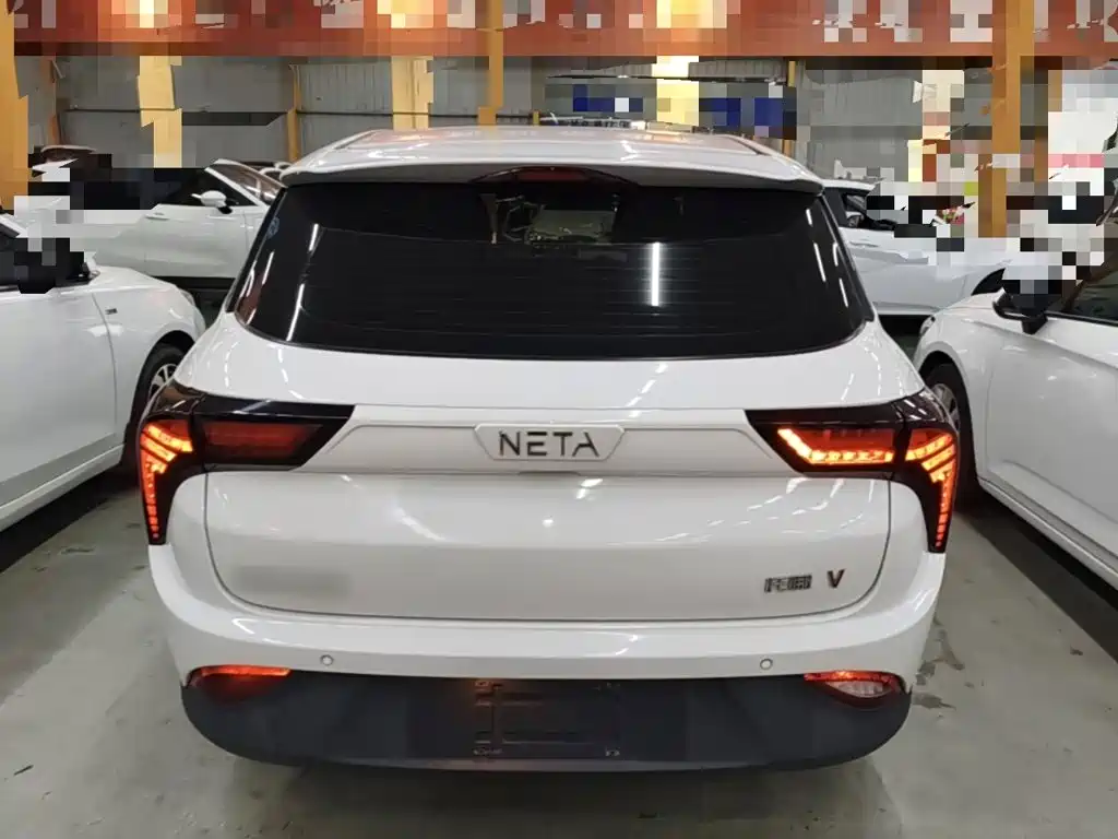 Neta Neta V — миниатюра 6