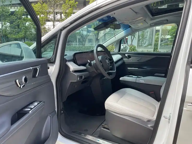 Buick GL8 — миниатюра 15