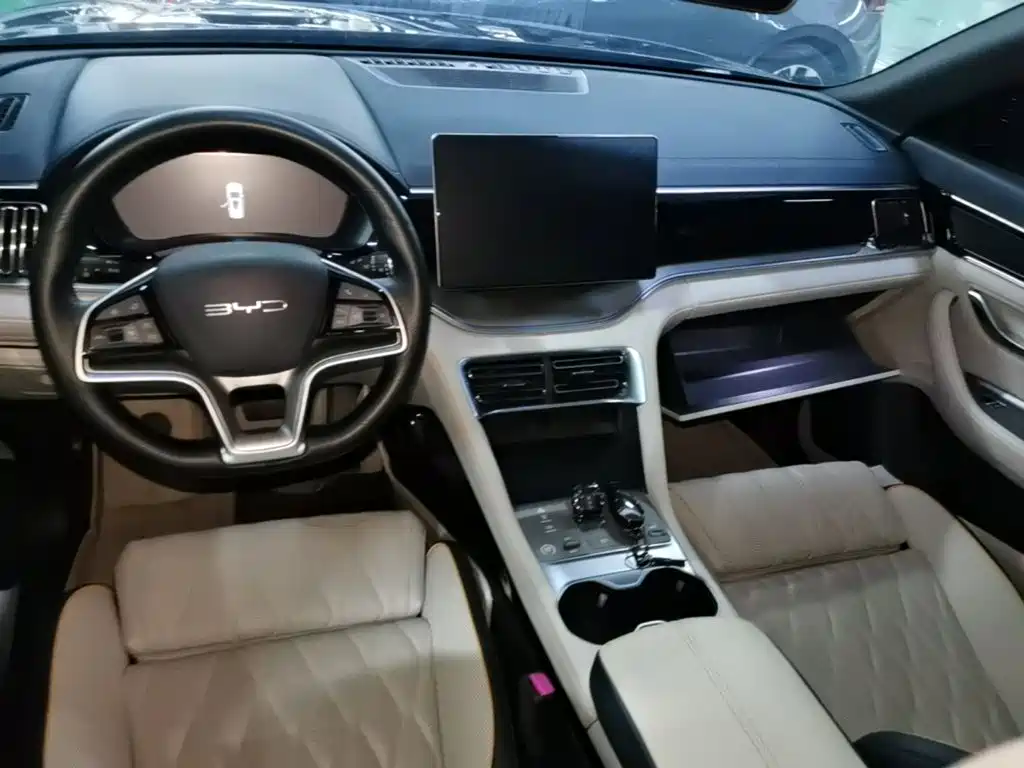 BYD PLUS New Energy — миниатюра 10