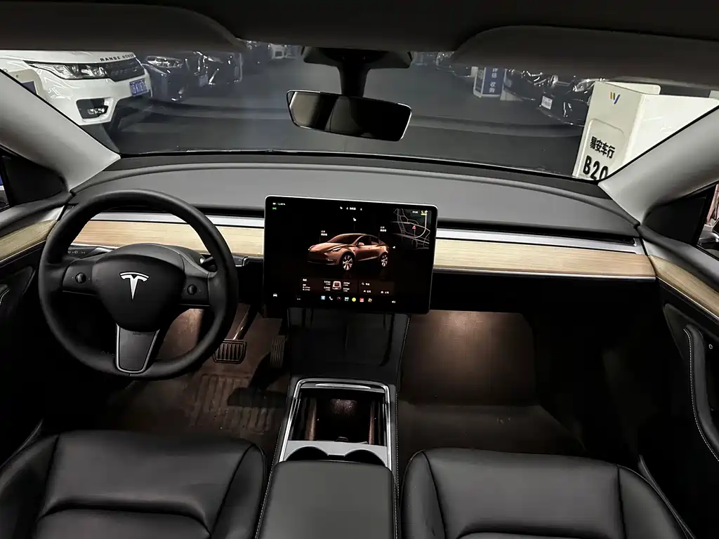 Tesla Model Y — миниатюра 6