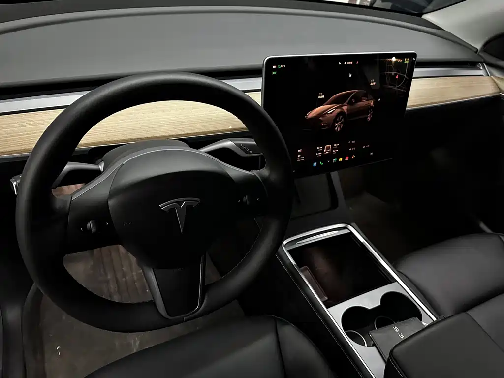 Tesla Model Y — миниатюра 7