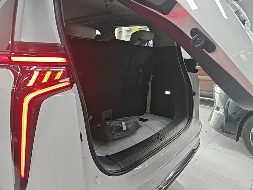 MAXUS Dajia 9 — миниатюра 18