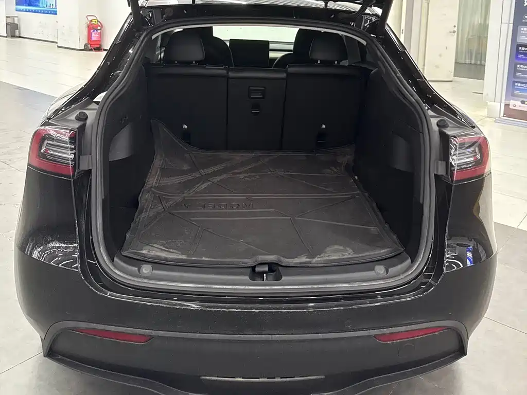 Tesla Model Y — миниатюра 15