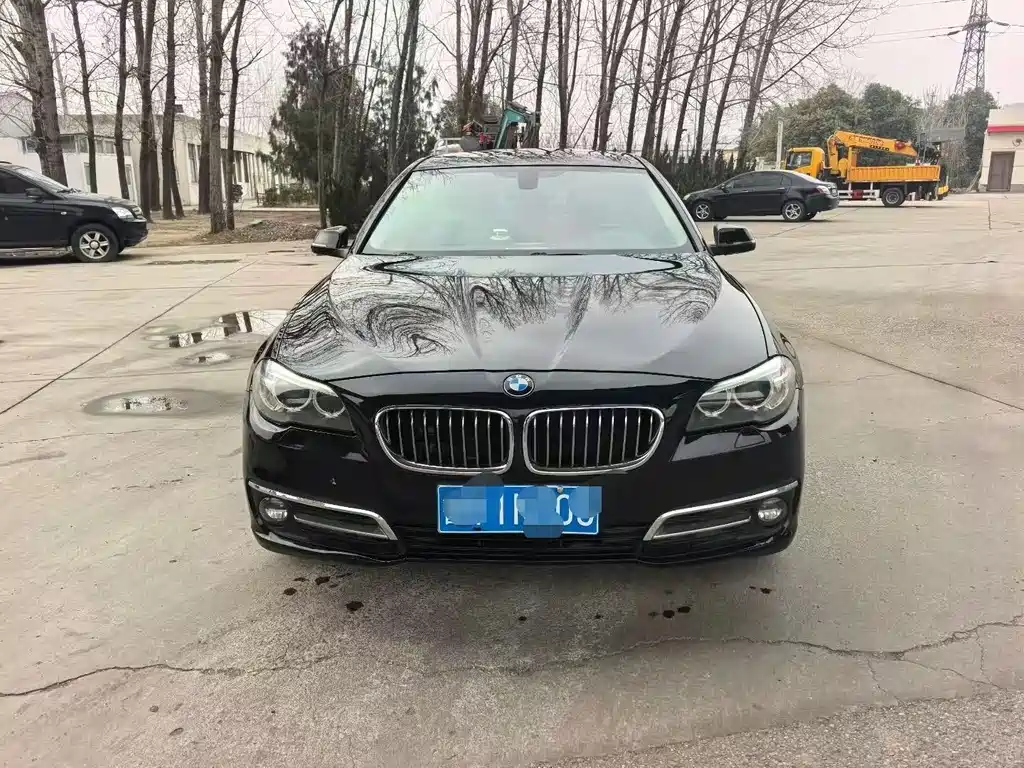 BMW 5 Series 2015