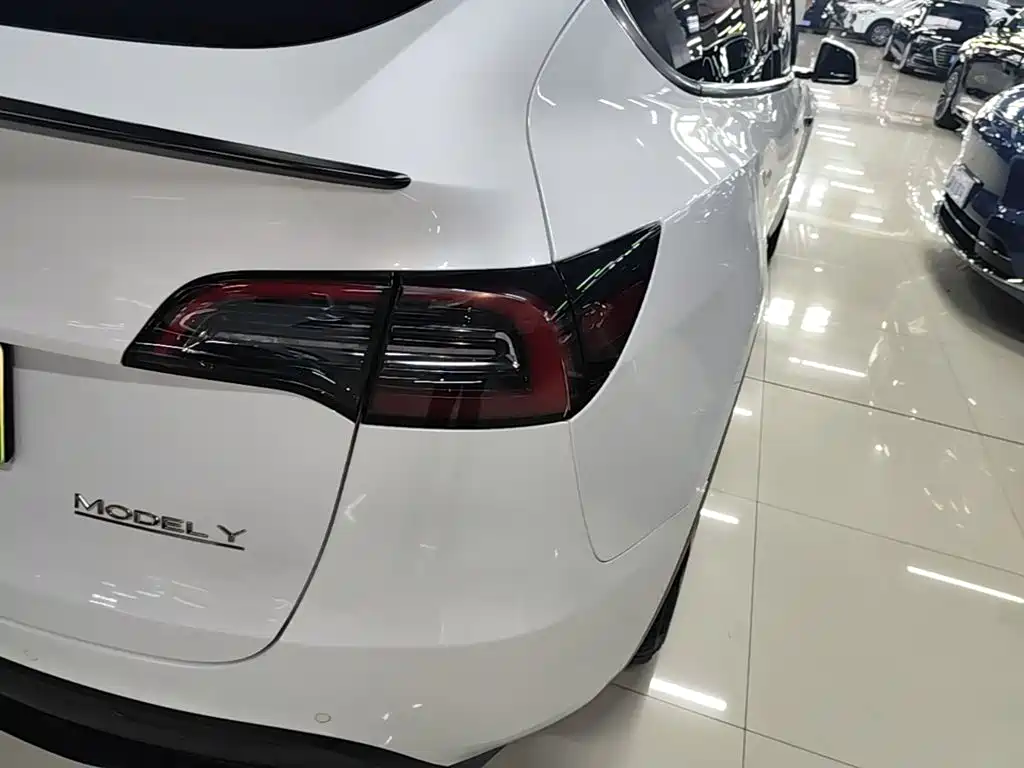 Tesla Model Y — миниатюра 8